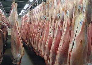 واردات محموله گوشت برزیلی از طریق بندر شهید رجایی