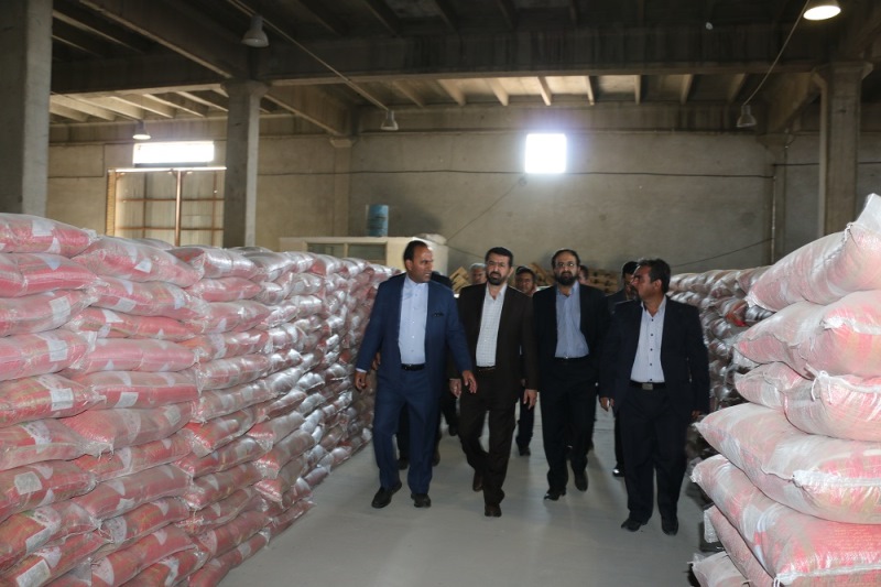 خریداری 60 هزار تن گندم جدید برای استان کرمان