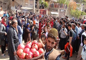 جشن انارانه در باینگان لغو شد