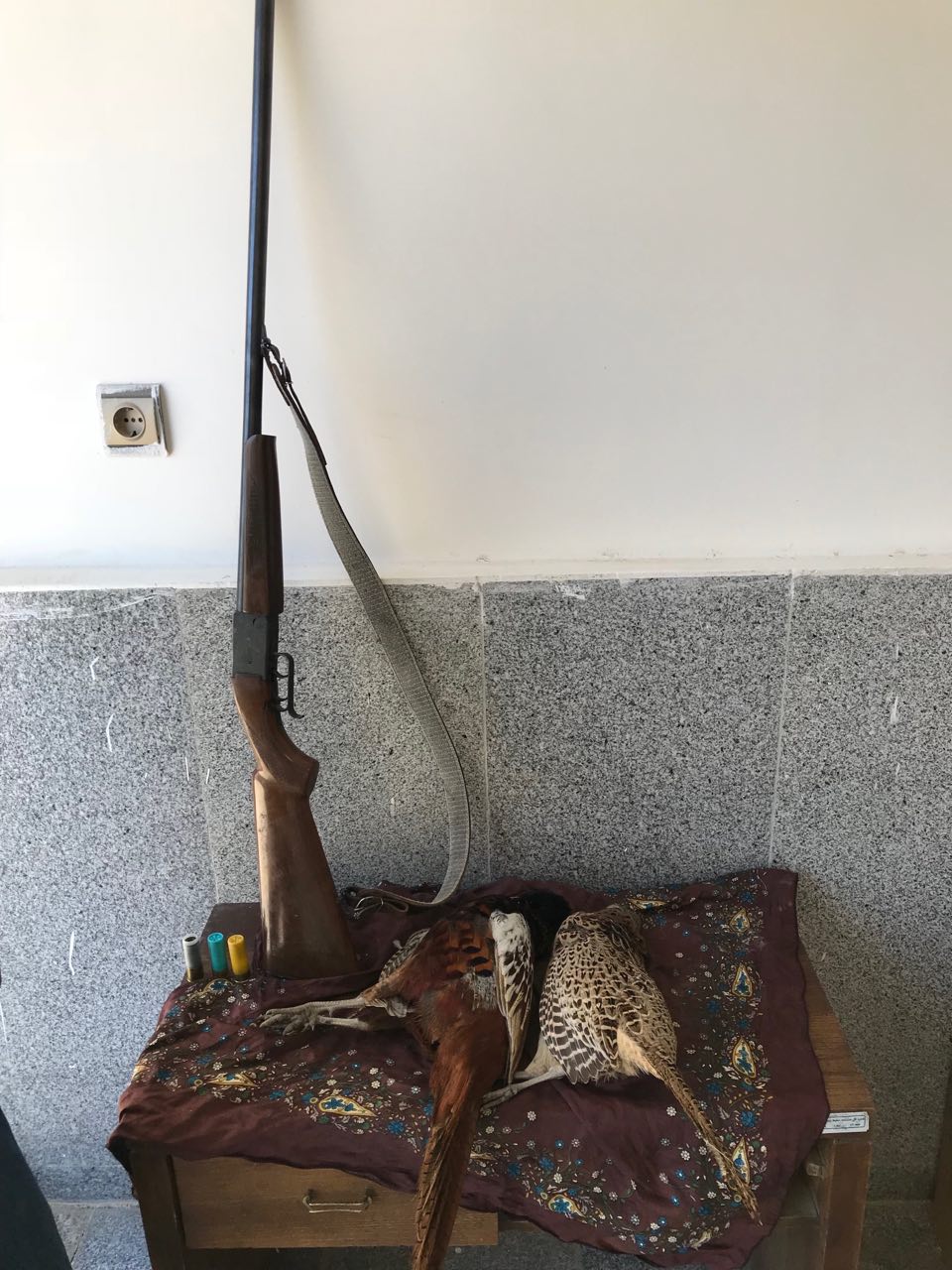 دستگیری شکارچیان غیر مجاز در درگز
