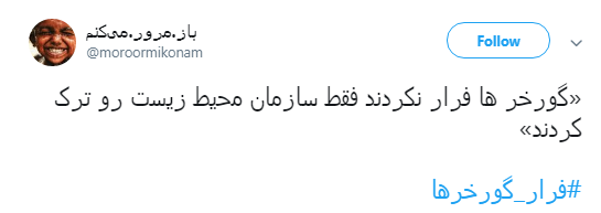 گورخر ها فرار نکردند فقط سازمان محیط زیست رو ترک کردند +تصاویر