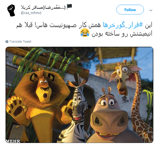 گورخر ها فرار نکردند فقط سازمان محیط زیست رو ترک کردند +تصاویر
