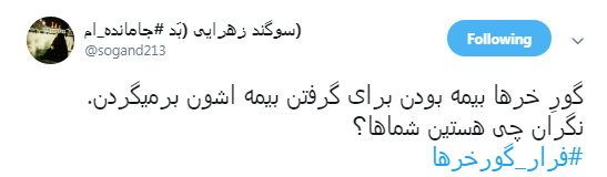 گورخر ها فرار نکردند فقط سازمان محیط زیست رو ترک کردند +تصاویر