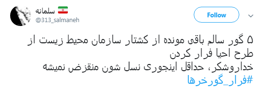 گورخر ها فرار نکردند فقط سازمان محیط زیست رو ترک کردند +تصاویر