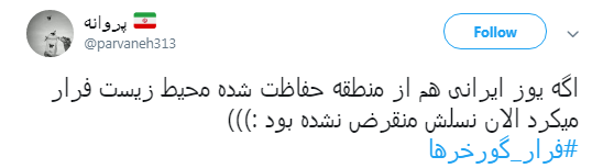 گورخر ها فرار نکردند فقط سازمان محیط زیست رو ترک کردند +تصاویر