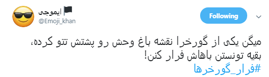 گورخر ها فرار نکردند فقط سازمان محیط زیست رو ترک کردند +تصاویر