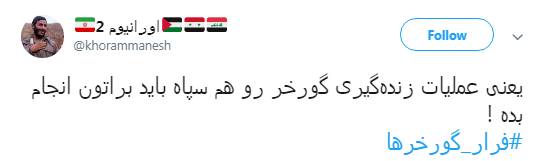 گورخر ها فرار نکردند فقط سازمان محیط زیست رو ترک کردند +تصاویر