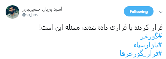 گورخر ها فرار نکردند فقط سازمان محیط زیست رو ترک کردند +تصاویر