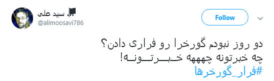 گورخر ها فرار نکردند فقط سازمان محیط زیست رو ترک کردند +تصاویر