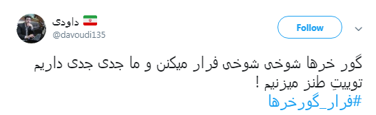 گورخر ها فرار نکردند فقط سازمان محیط زیست رو ترک کردند +تصاویر