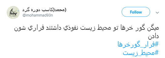 گورخر ها فرار نکردند فقط سازمان محیط زیست رو ترک کردند +تصاویر