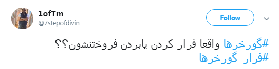 گورخر ها فرار نکردند فقط سازمان محیط زیست رو ترک کردند +تصاویر