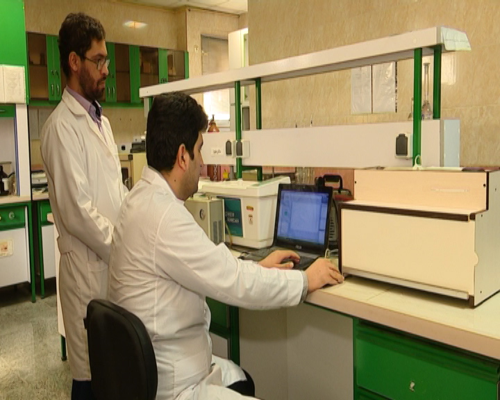 طراحی نرم افزار درجه بندی غلات و حبوبات با پردازش تصویر در بوشهر