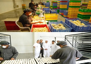 بازدید استاندار قزوین از ٢ واحد تولیدی