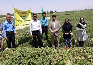 صدور پروانه گواهی محصول سالم در کوار