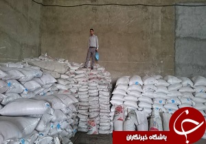 بازرسی و کنترل بخش کشاورزی در رامهرمز