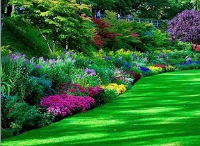 در حال حاضر ۵۴۰ هکتار چمن پُرنیاز آبی در شهر اصفهان وجود دارد