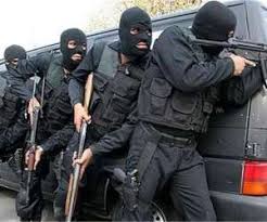 دستگیری سارق گروگانگیر در عملیات پلیس رودبار جنوب