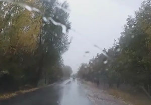 لحظات زیبای بارش باران در نهاوند + فیلم