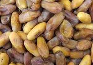 صادرات بیش از ۲ هزار تنی خرمای جهرم