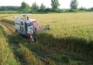 رفع آبگرفتگی معابر شهری اهواز