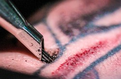 رمزگشایی از واردات 25 هزار تنی زباله به کشور + صوت
