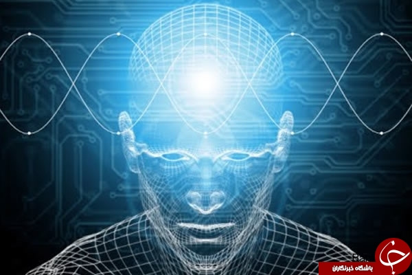 گیاهی که امواج مضر مخابراتی را به خود جذب میکند+عکس