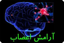 اختراع عجیب ژاپنی&zwnj;ها برای آرامش اعصاب+ عکس