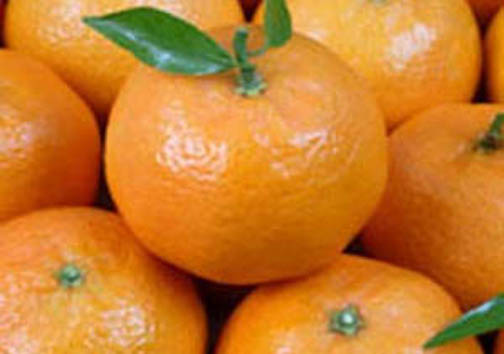 نگاهی گذرا به مهمترین رویداد&zwnj;های دوشنبه ۲۱ آبان ماه در مازندران