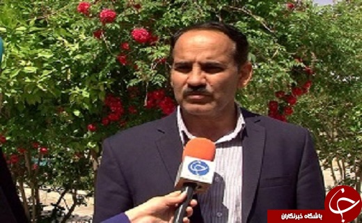 زعفران، گیاهی سازگار با اقلیم کویر/ درآمدزایی بالای طلای سرخ برای کشاورزان