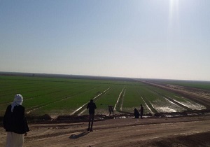 افتتاح فاز اول طرح احیای ۵۵۰ هزار هکتاری کشاورزی در خوزستان  