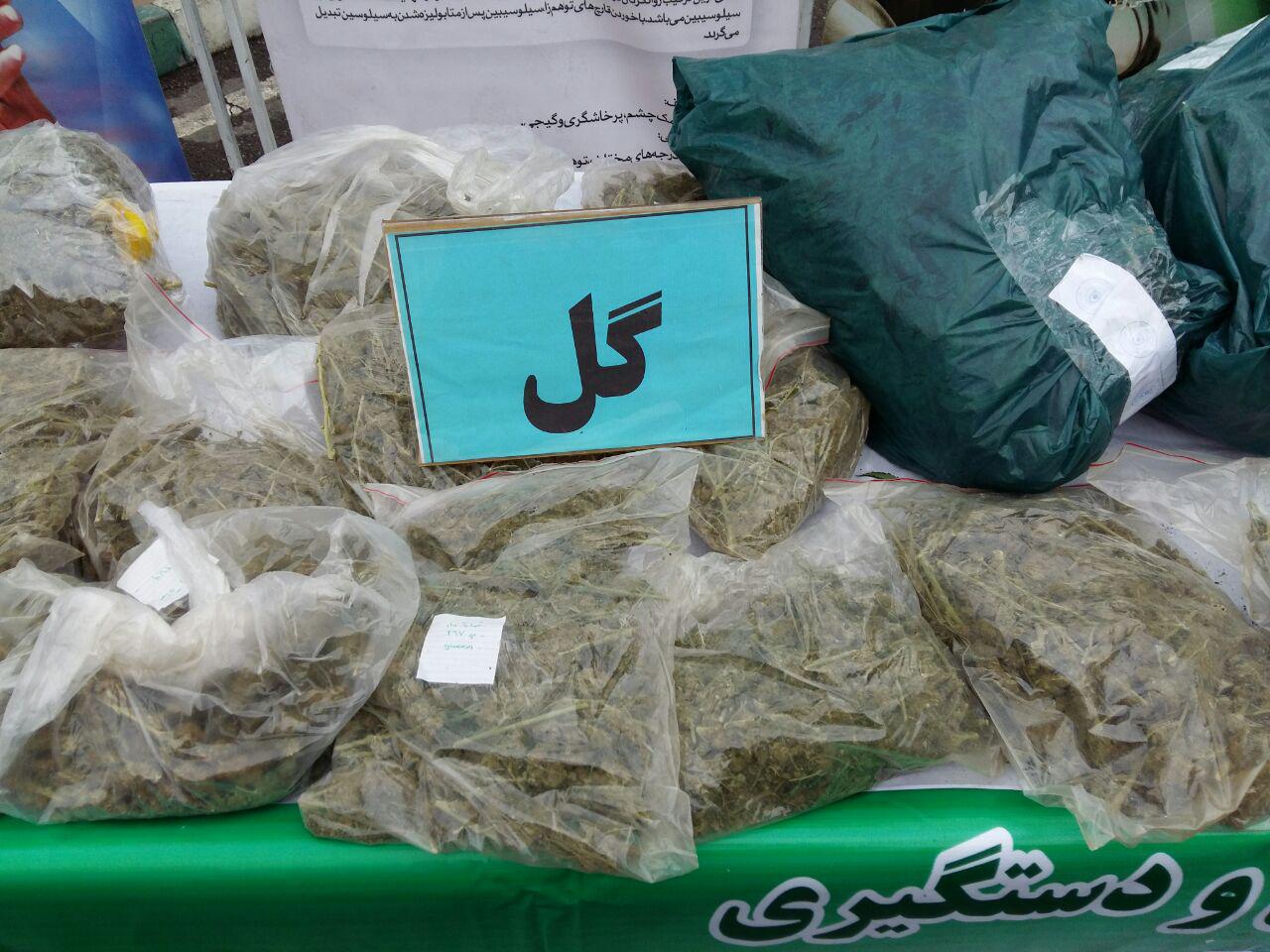 کشف بیش از یک تن موادمخدر طی ۲۲ روز گذشته/۵۰ قاچاقچی مواد افیونی دستگیر شدند