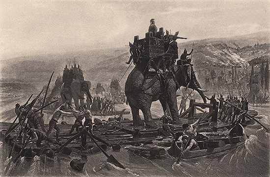 حقایق جالب و باورنکردنی درباره فیل ها+ تصاویر
