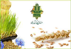 خسارت به حوزه&zwnj;های زراعت و باغبانی لرستان هنوز پرداخت نشده است