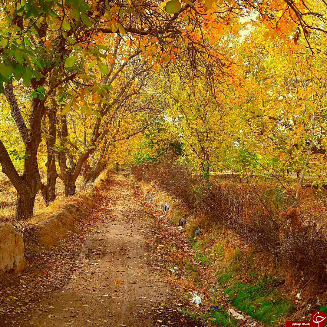 نمایی از طبیعت زیبا در &laquo;چهاربرج&raquo; + تصاویر