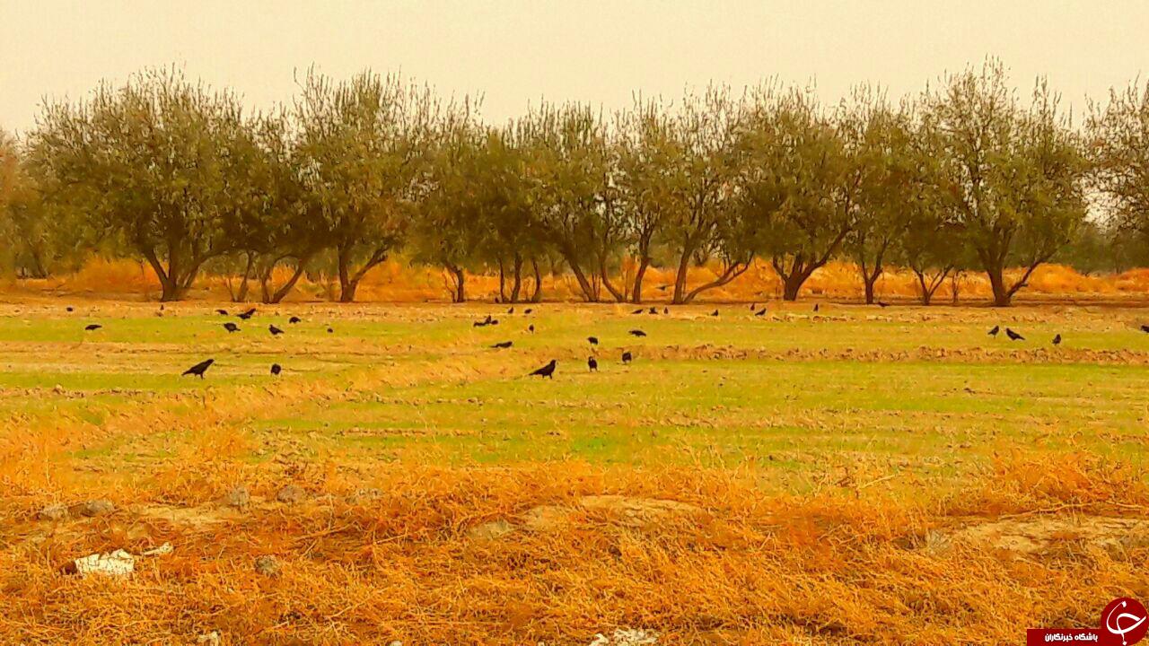 نمایی از طبیعت زیبا در &laquo;چهاربرج&raquo; + تصاویر