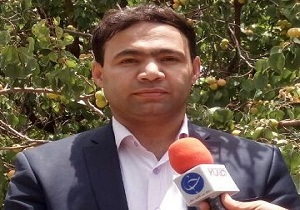 افزایش ١۵درصدی سطح زیرکشت محصول به در شهرستان خاتم