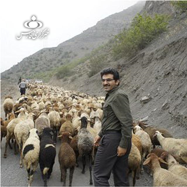 مردی که از چوپانی به پزشکی رسید+تصاویر مردی که از چوپانی به پزشکی رسید+تصاویر