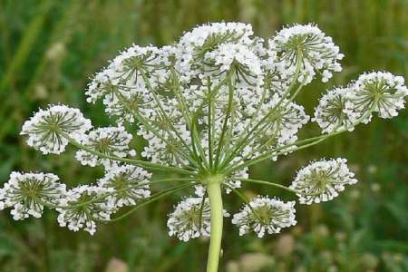 جای خالی جای خالی