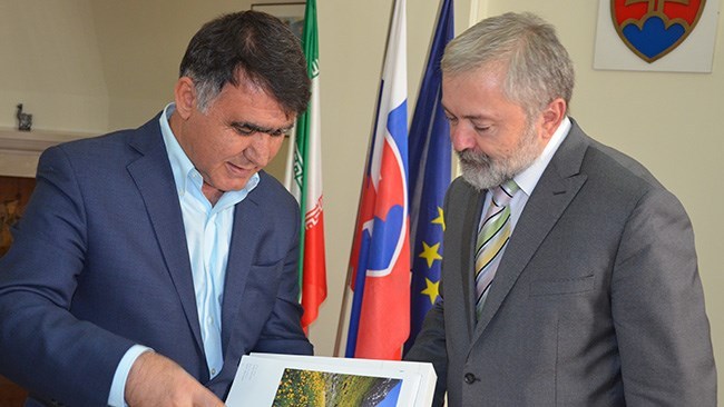 رایزنی&zwnj; اسلواکی برای توسعه تجاری با ایران