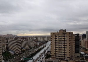 لحظات زیبای بارش باران در شیراز + فیلم