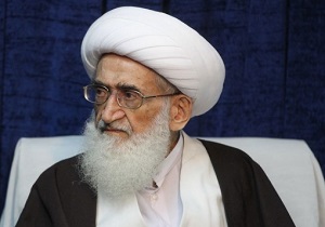 باید جلوی گرانی ها را گرفت/گرفتن پول به عنوان دیرکرد مصداق ربا است/حجاب یک از ارزش&zwnj; مهم اسلامی است