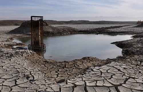 احیای تالاب جازموریان در اولویت محیط زیست کشور