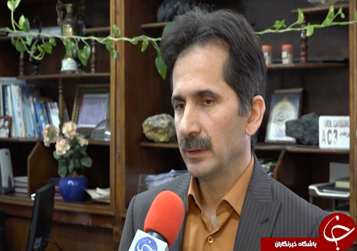 راه اندازی واحد&zwnj;های فراوری پای مرغ مساوی با افزایش درآمد صنعتگران طیورکشور