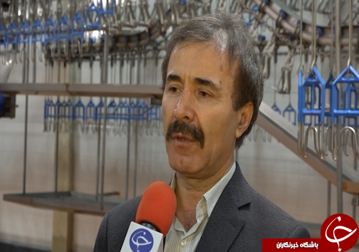 راه اندازی واحد&zwnj;های فراوری پای مرغ مساوی با افزایش درآمد صنعتگران طیورکشور