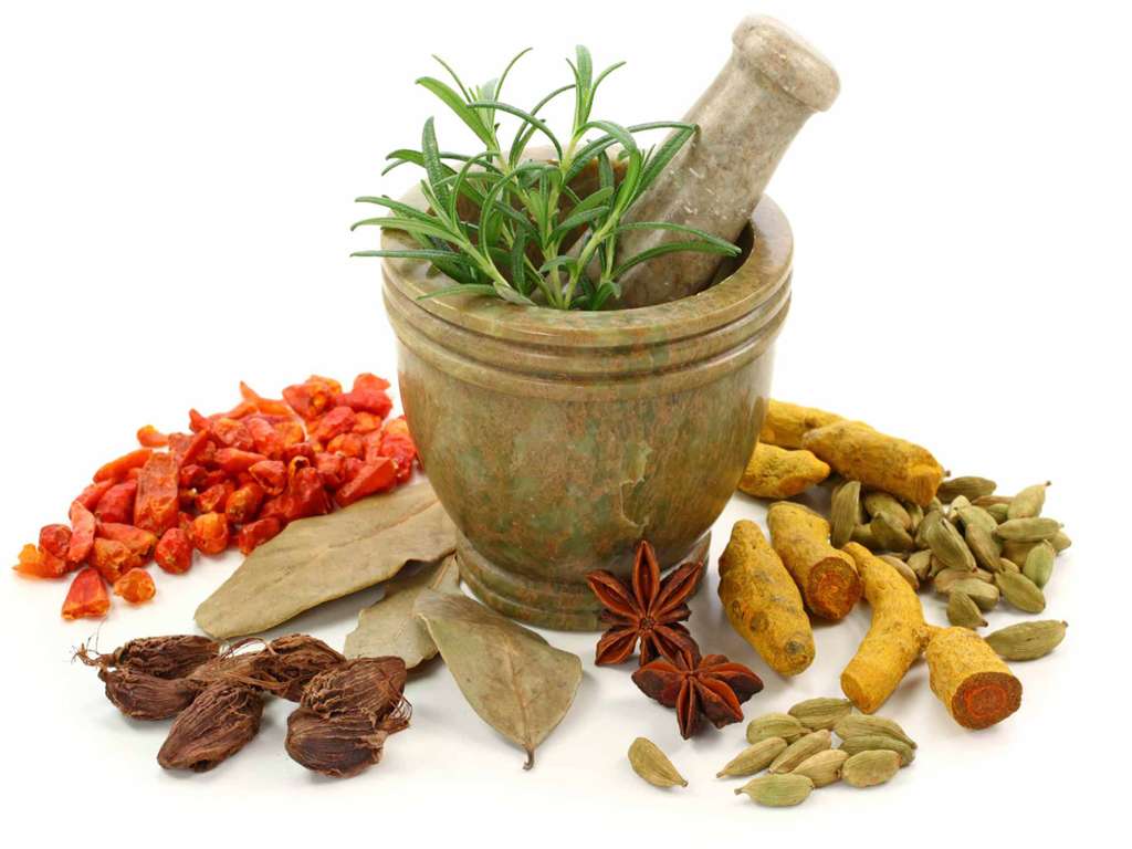 از تولید دارو با گیاهان تا گذری بر ماجرای محاصره دشمنان از تولید دارو با گیاهان تا گذری بر ماجرای محاصره دشمنان