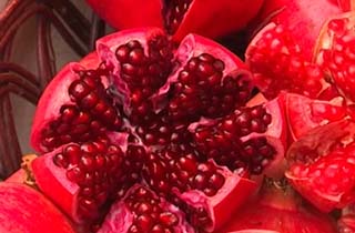 از تولید دارو با گیاهان تا گذری بر ماجرای محاصره دشمنان از تولید دارو با گیاهان تا گذری بر ماجرای محاصره دشمنان