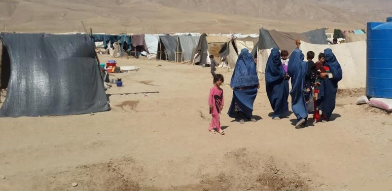 سازمان ملل: بیش از 3 هزار خانواده از مالستان و جاغوری آواره شده اند
