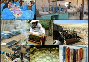 بانوان کار آفرین در رشد و توسعه جامعه نقش موثری دارند