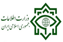 هشدار جدی حزب الله به متجاوزان + فیلم